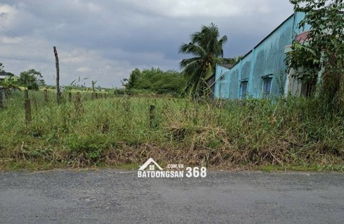 Cần bán lô đất 451.8m² mặt tiền đường nhựa HL 02 Kiểng Phước, Gò Công Đông gần KCN Gia Thuận 1-2